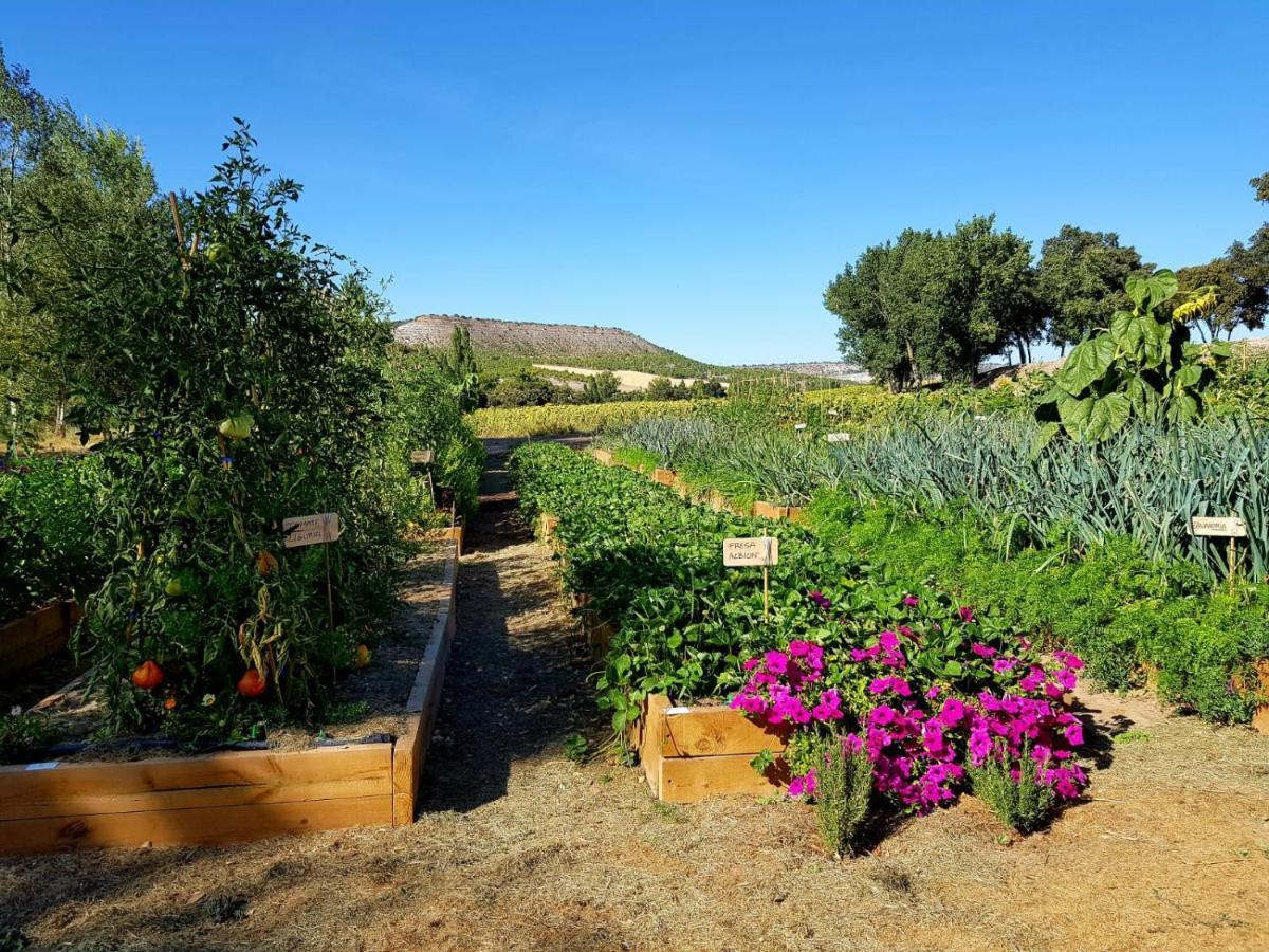 Abadia Retuerta Ledomaine Hotel Sardon De Duero ภายนอก รูปภาพ