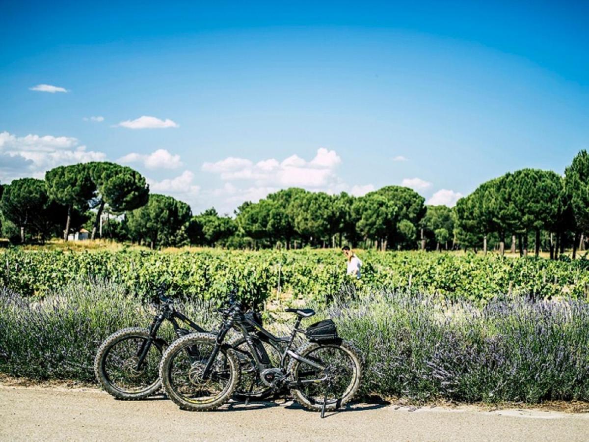 Abadia Retuerta Ledomaine Hotel Sardon De Duero ภายนอก รูปภาพ