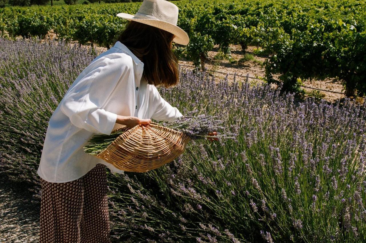 Abadia Retuerta Ledomaine Hotel Sardon De Duero ภายนอก รูปภาพ